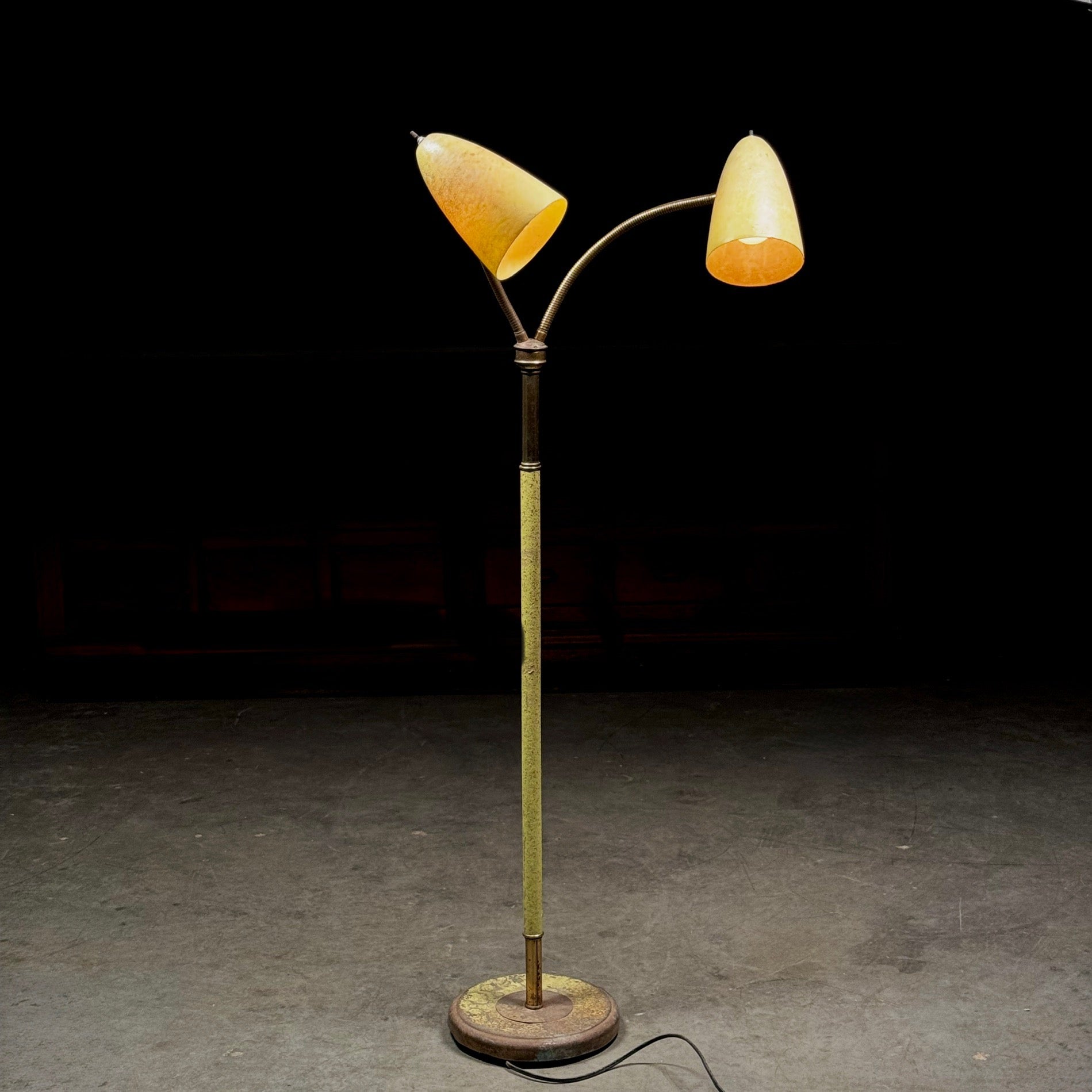 Double Headed Gooseneck Floor Lamp