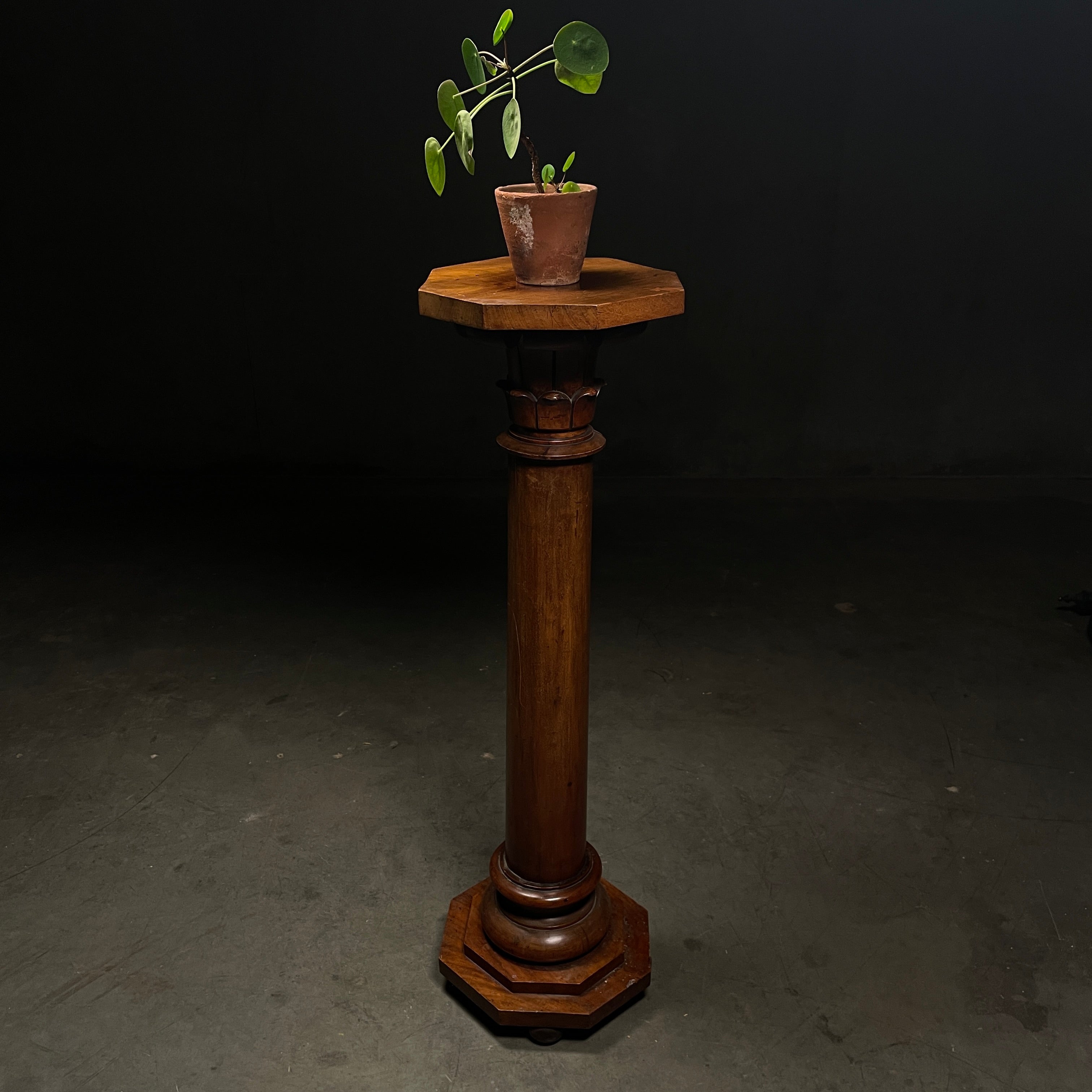 Circa 1900 English Oak Display Plant Stand Plinth