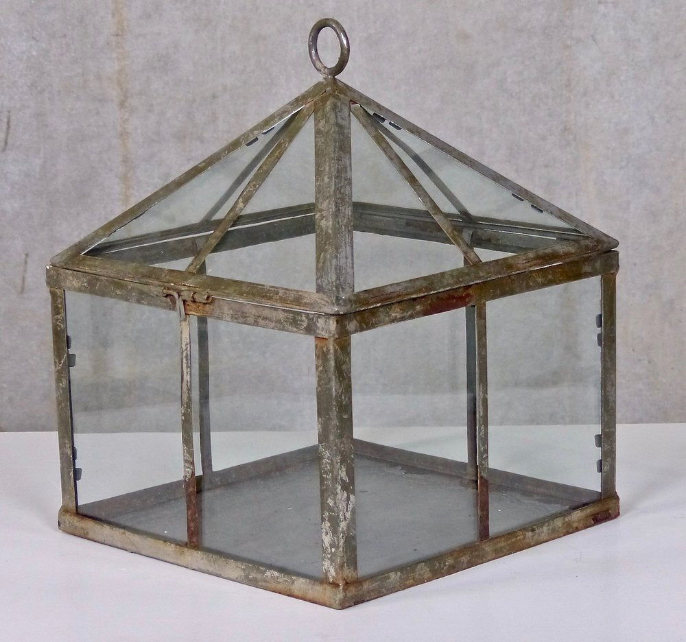 Vintage Glass and Oxidized Metal Terrarium | Scott Landon Antiques and Interiors.