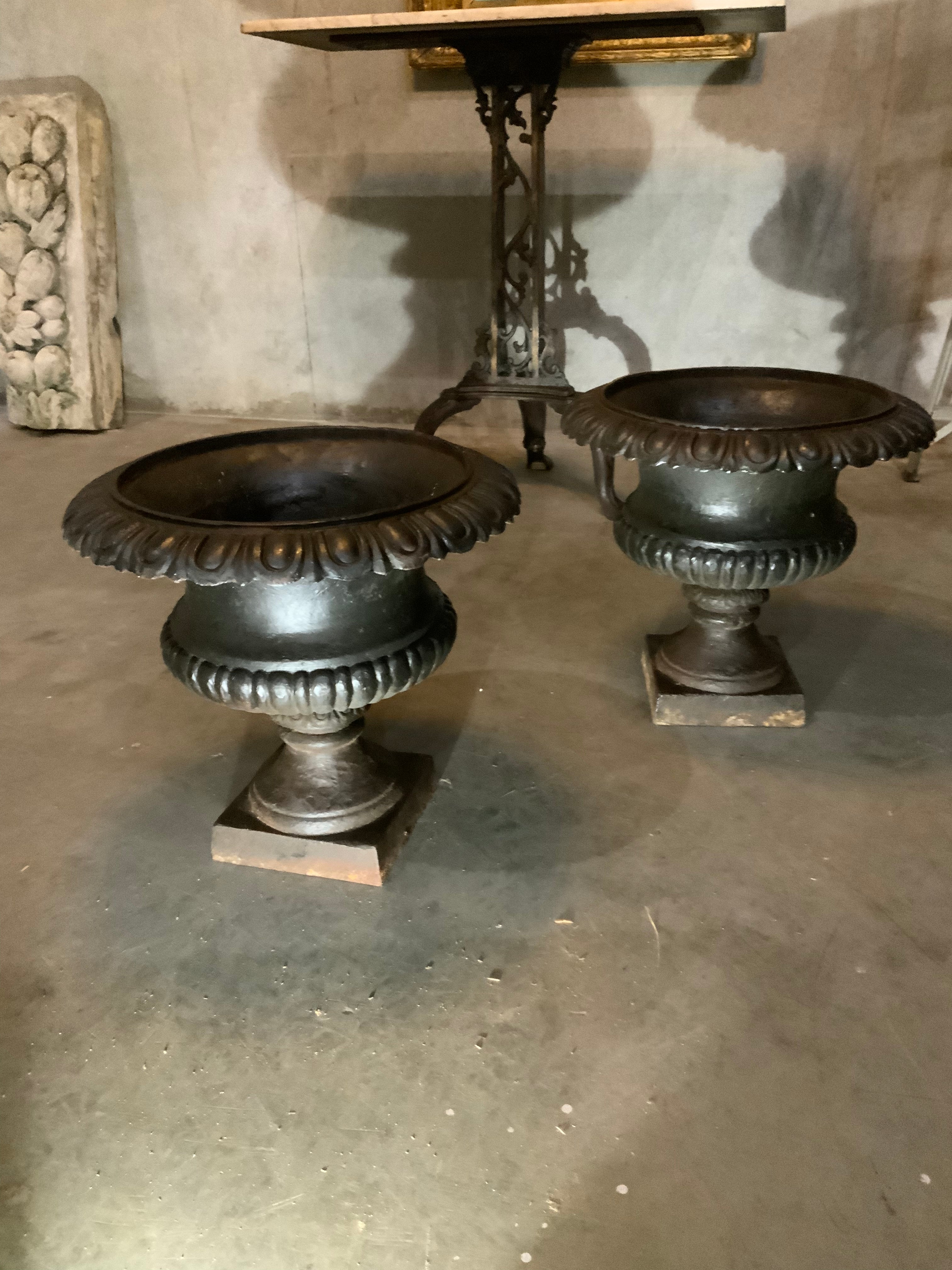 19th century  French cast iron planters | Scott Landon Antiques and Interiors.